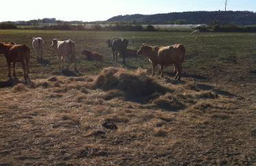 Quinta da Gafaria - Foto 32