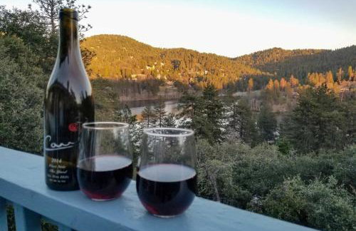 The Atomic Squirrel Lodge Lake Gregory Getaway! - Foto 9