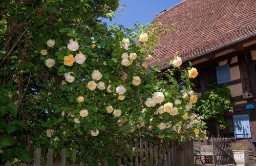 Historischer Vogtshof: eingezäunt | sonniger Garten | Kamin | Denkmalschutz - Foto 70