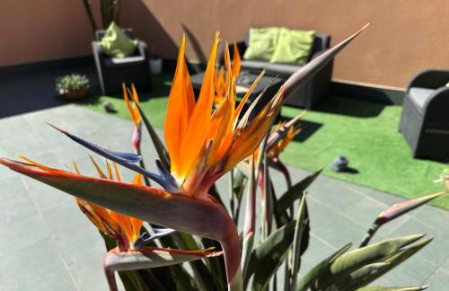 Apartamento Estela - Foto 40