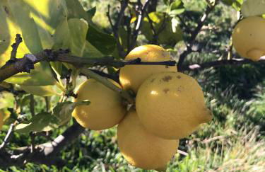 Casa Mediterraneo - Foto 39