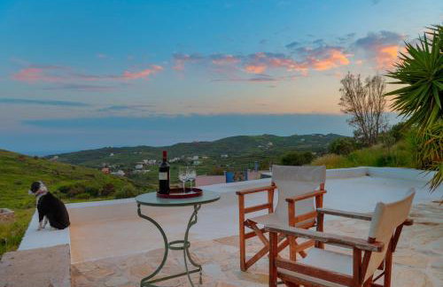 MEGAS GIALOS HARMONY - Foto 46