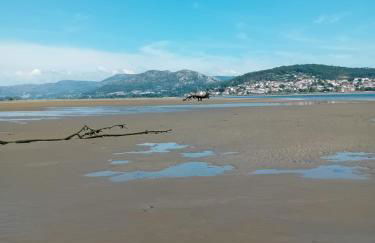 Vacacional muelle alto A Guarda - Foto 37