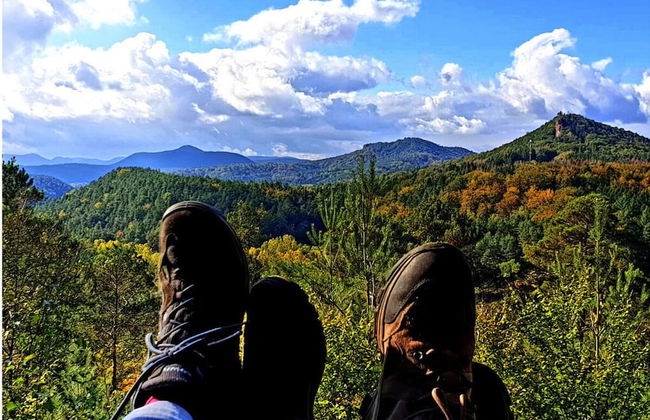 Ferieheisel - Everything, Except Usually! - Photo 20