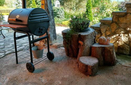 El Pedrueco turismo rural - Foto 29