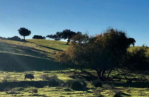 La Hermandad de Villalba - Foto 46