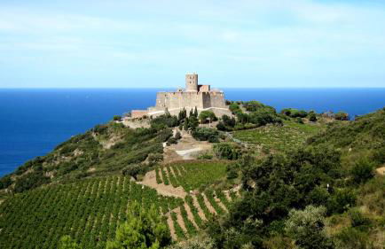 Les hauts de Port Vendres - Foto 9