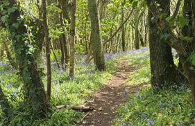 NEW - Luxury Cawsand Cottage, Steps from the Beach - Foto 43