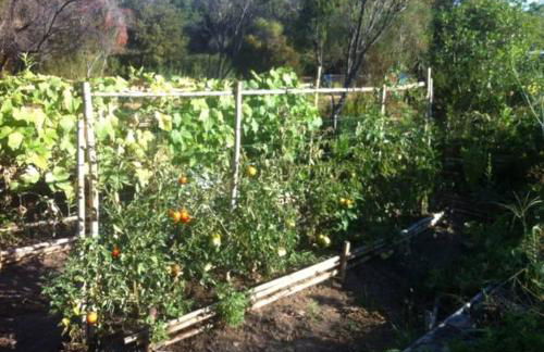 Les jardins de Foata - Foto 20