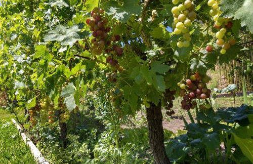 Quinta Santa Marinha - Foto 6