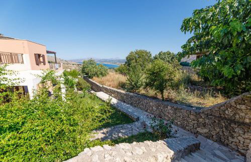 Bougainvillea - Foto 44