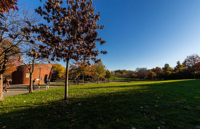 Cozy Shack-1 Bedroom Studio - Foto 23