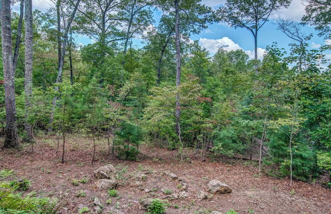 Gorgeous & Secluded 3 BDR Cabin in Mineral Bluff! - Foto 38