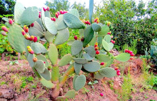 Casa La Vigna - Foto 40