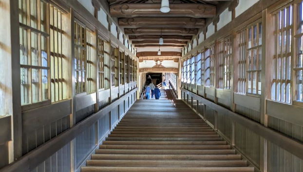 Explora la ciudad de Fukui y el templo Eiheiji - Excursión de día completo - Foto 2