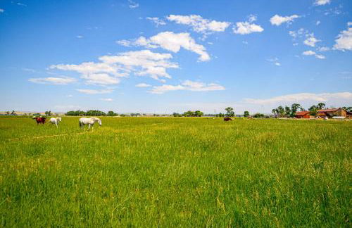 Private Clark Ranch Retreat with Mountain Views! - Foto 44