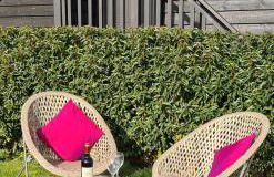 The Cartshed, Coltishall, Norfolk - Photo 8