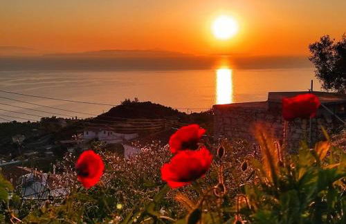 Κατοικία Πανόραμα, Πραγματευτή Λεωνιδίου, Τ.Κ.22300 - Photo 33