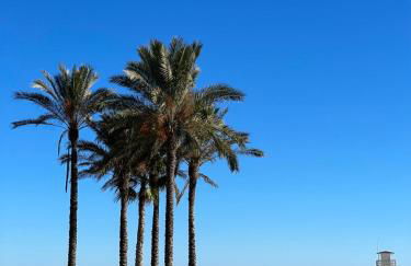Casa Brisa Vera Costa con piscina abierta todo el año - Foto 30