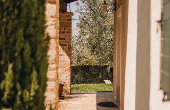 Dreamhill Meloni - Foto 28