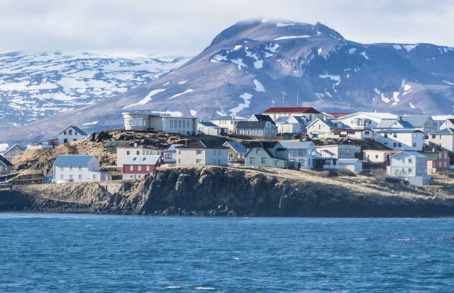 Stykkishólmur Coast Kayak Tour - Foto 1