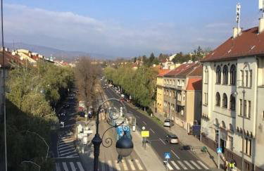 Spacious 3BR/2BT Apartment with A/C in City Center - Photo 3