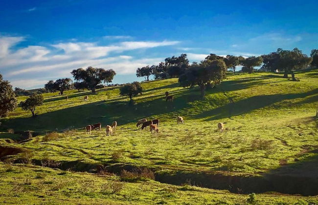 Modern Villa With Garden - Foto 21