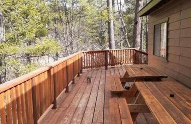 Forest Home Retreat 11 Ridgeview Retreat - Photo 3