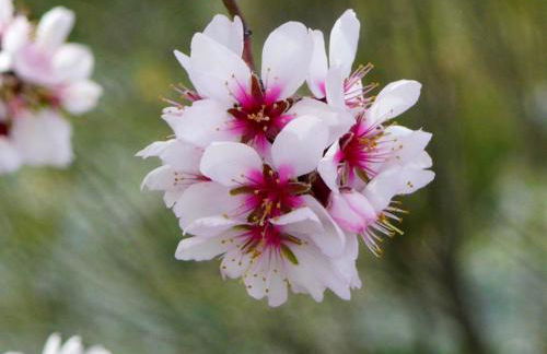 Sumptuous villa in Taberno with private pool - Foto 80