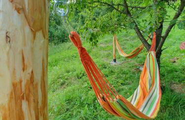 Domki pod lasem Gorce z kominkiem i jacuzzi - Photo 14