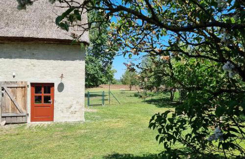 Pommernhaus Josephinenhof, Sauna, Kamin, Ruderboot - Foto 7