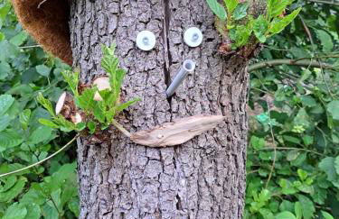 Ferienhaus Rehblick - direkt in der Natur, mit Lesezimmer und zwei Terrassen - Foto 45