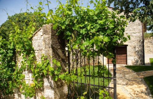 Vileta Juraga - Foto 27