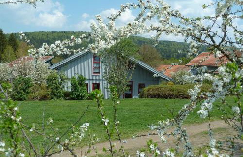 Ferienhaus Nr 10A2, Feriendorf Hagbügerl, Bayr Wald - Foto 6
