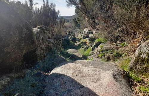 Estrela da Serra - Foto 40