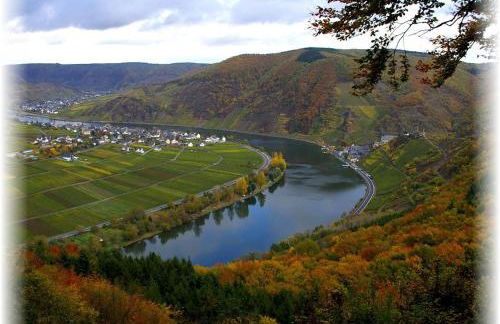 Weingut im Moselkrampen - Foto 9