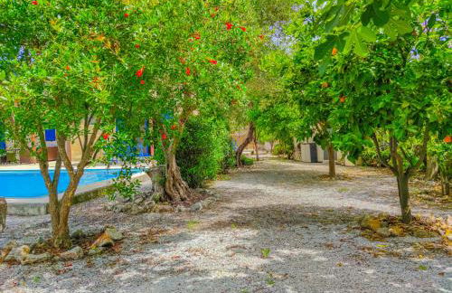 Lemon Tree Villa with Private Pool and Starlink Internet - Foto 38