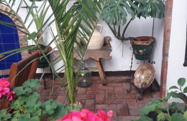 Casa Museo Jerez Centro - Foto 25