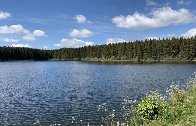 Holiday Home Harzhaus Time out - Photo 25