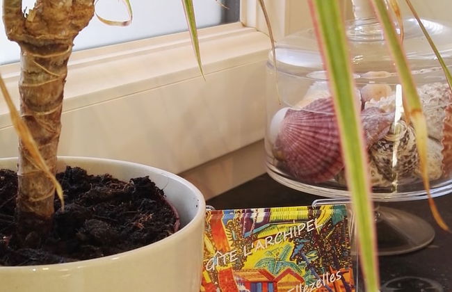 Gite L'archipel - Foto 51