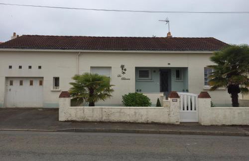 Les Palmiers - Foto 3