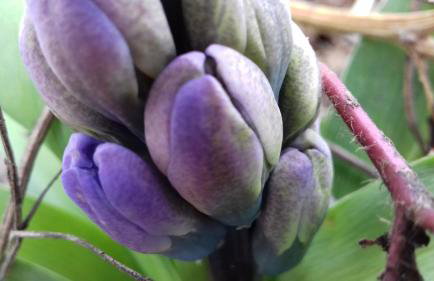 Sleepy Paradise Plitvice - Foto 32