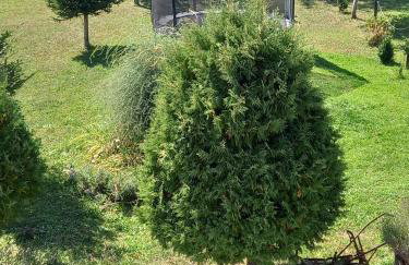 Apartment in Rakovica with Terrace, Air conditioning, Wifi (601-1) - Foto 35