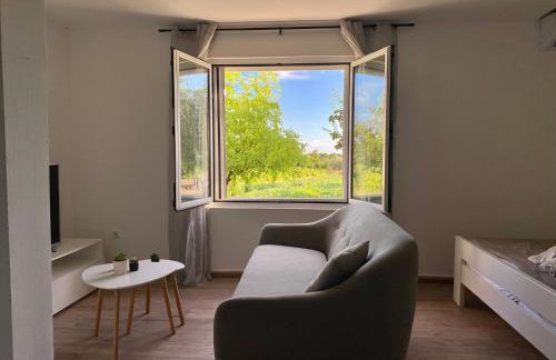 Guest Accommodation Grozdanić - Photo 35