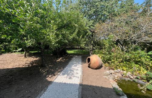 Aveiro Maias Village - CASA DA ROSA - Foto 15