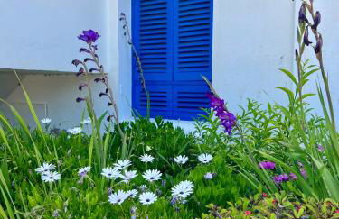 Apartamento Las Olas - Foto 46