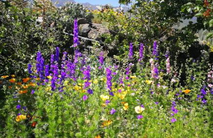 Finca Primavera - Foto 30