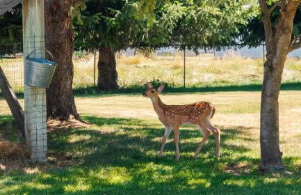 Tranquility Base - Family Fun Modern Farm House - Foto 13