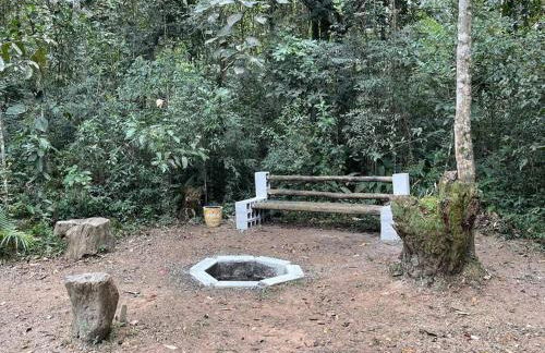 Bosque na Montanha Encantada - Foto 15