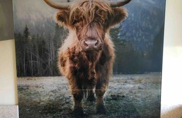 The Mistal@Cow Close Barn, Leyburn - Relax, and Enjoy - Photo 4